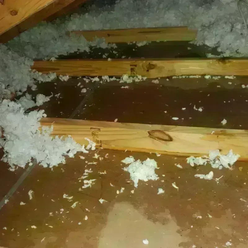 Attic Water Damage in Brooklyn, IA