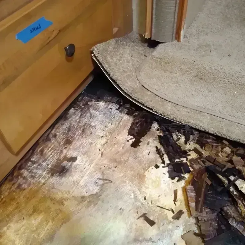 Wood Floor Water Damage in Brooklyn, IA